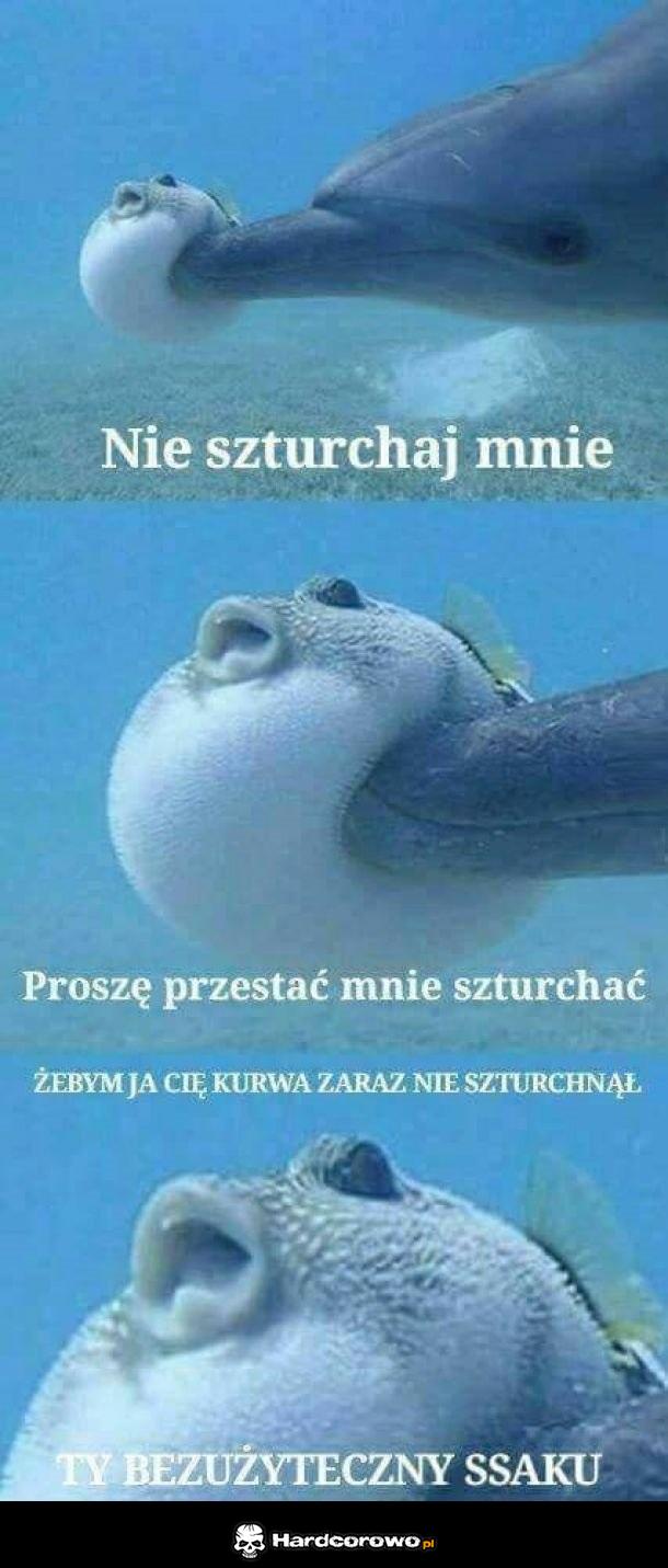 Nie szturchaj mnie - 1