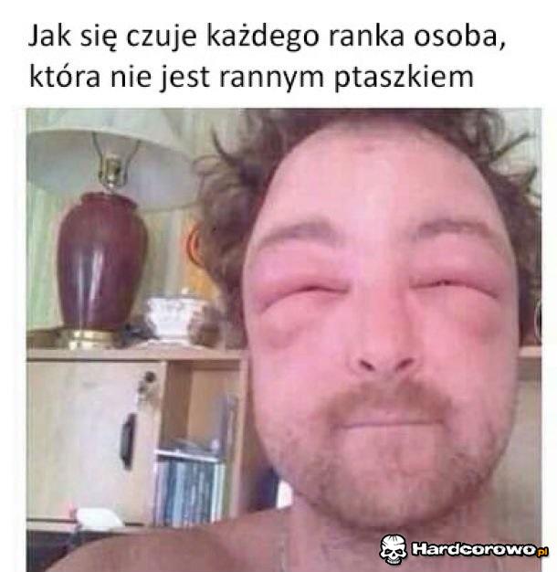 Sowy tak mają - 1