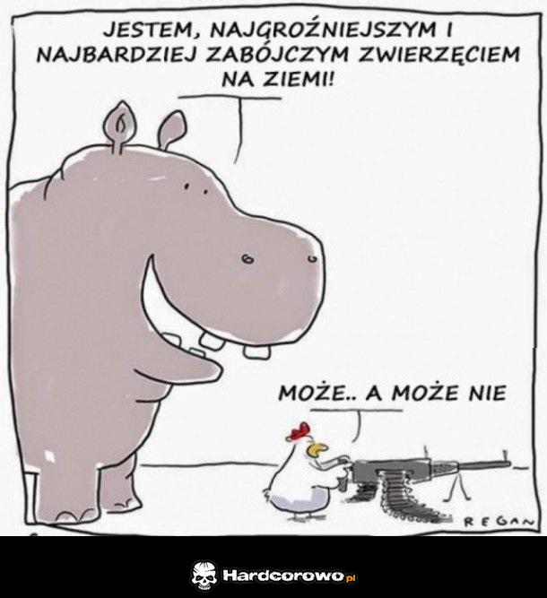 Zabojcze stworzenia - 1