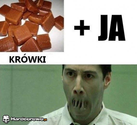 Krówki - 1