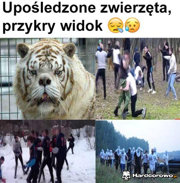 Upośledzone zwierzęta - 1