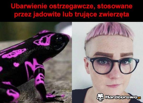Ubarwienie ostrzegawcze - 1