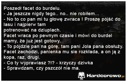 Poszedł facet do burdel - 1