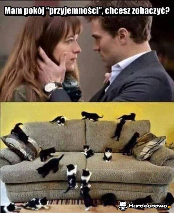 Pokój przyjemności - 1