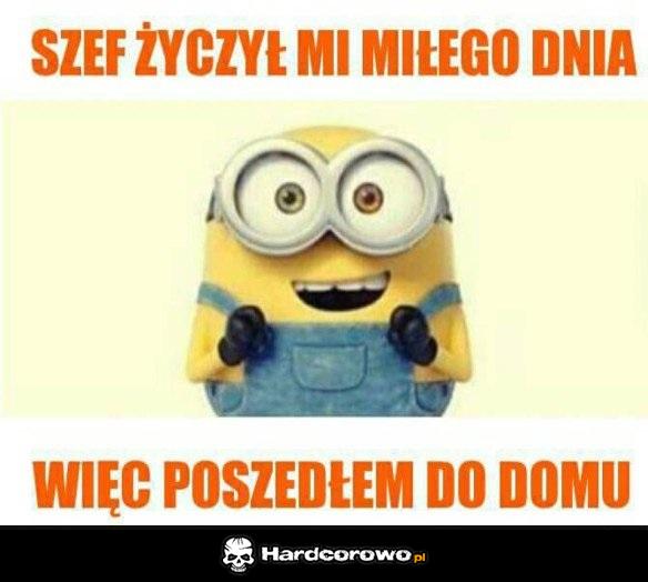 Dzięki Szefie - 1