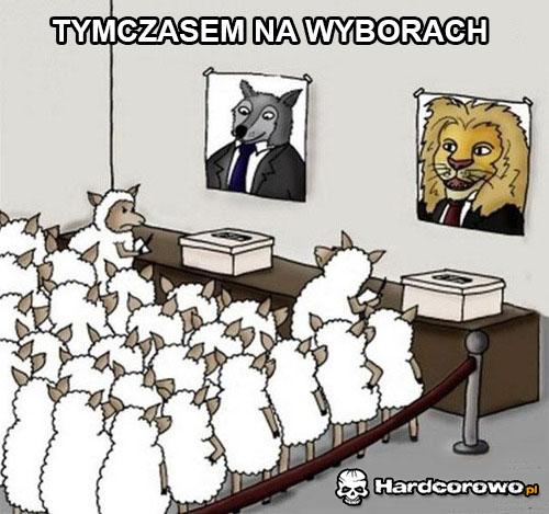 Wybory - 1