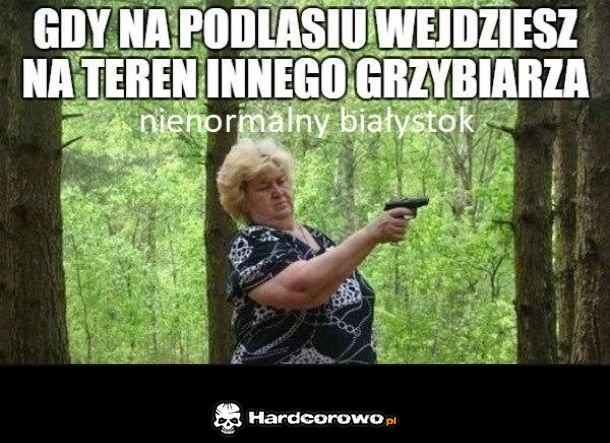 Podlaskie grzyby to nie przelewki - 1