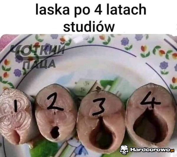 Laski na studiach - 1