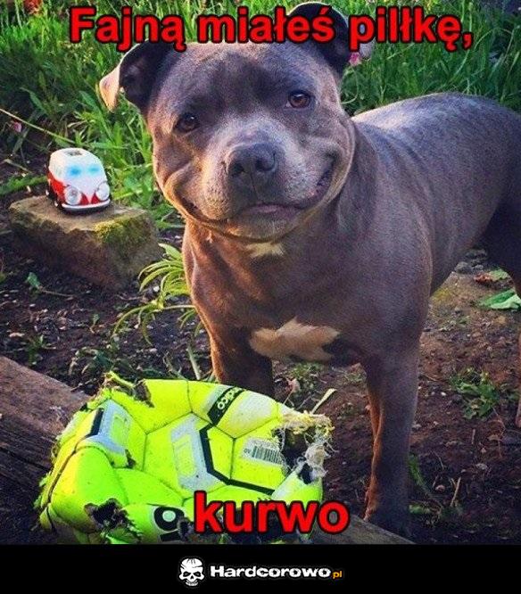 Było minęło - 1