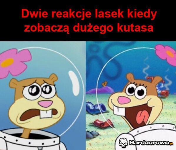 Dwie reakcje - 1