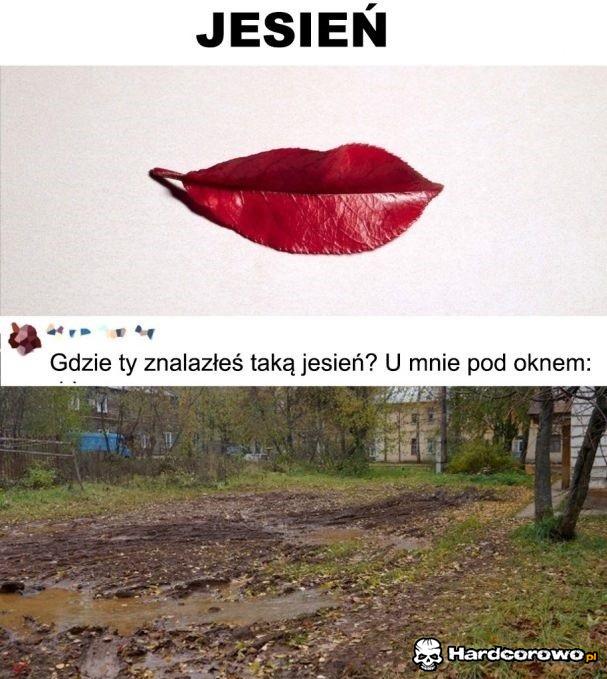 Jesień - 1