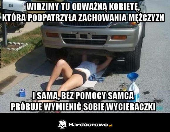 Odważna kobieta - 1