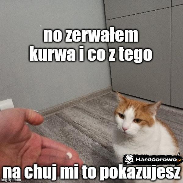  - 1