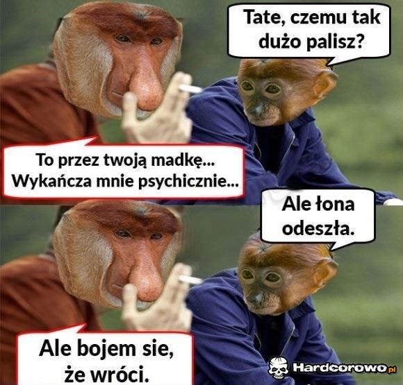 Dlaczego Janusz pali - 1