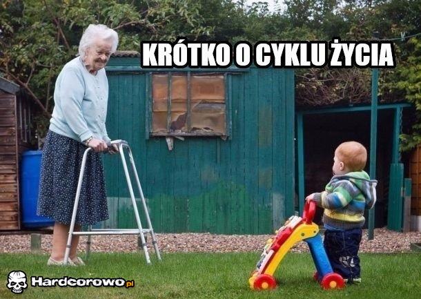 Krótko o cyklu życia - 1