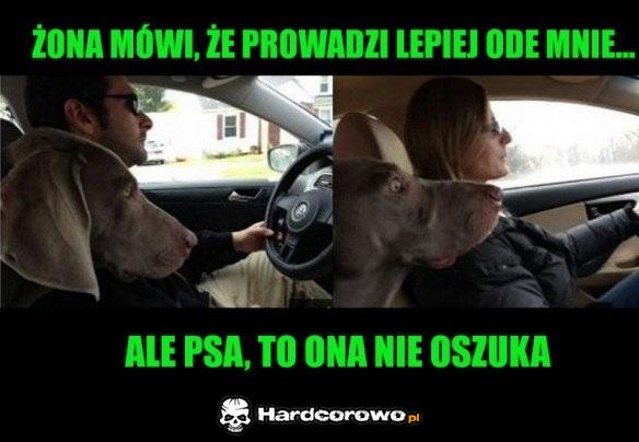 Mąż i żona - 1