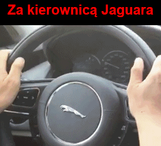 Jaguar - 1