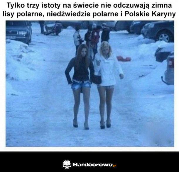 Nowy gatunek - 1