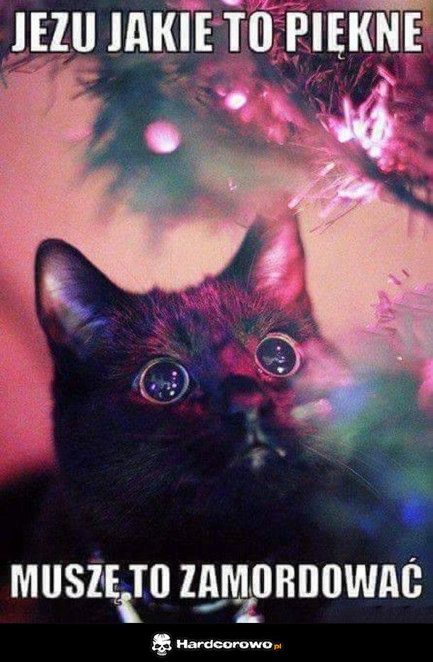 Każdy kot na święta - 1