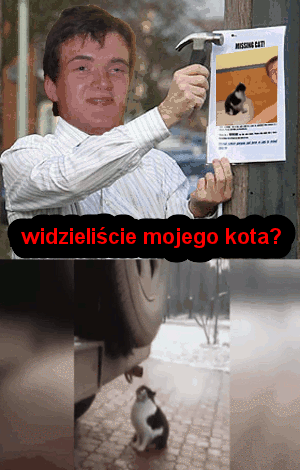Widzieliście mojego kota? - 1
