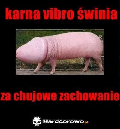 Karna Vibro świnia - 1