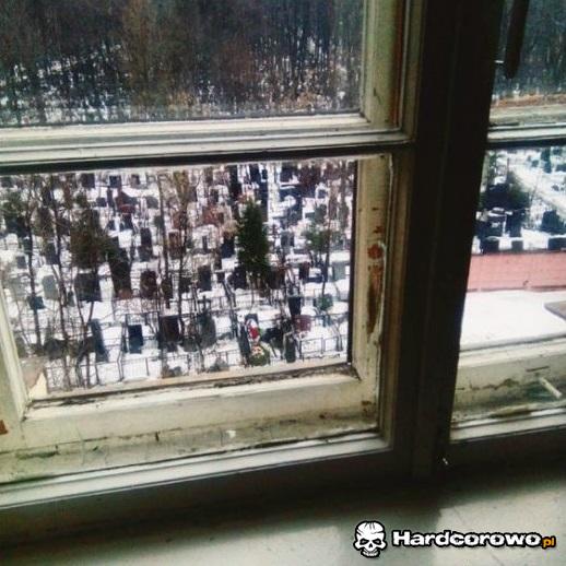 Ciche sąsiedztwo - 1
