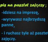 Pasztet zajęczy