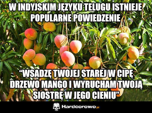 W Indyjskim języku - 1
