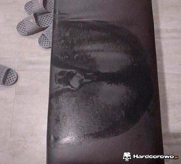 Trochę się ktoś spocił - 1