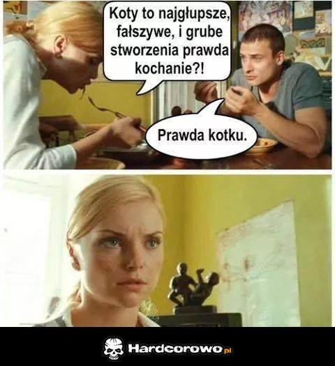 Koty - 1
