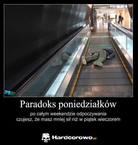 Paradoks poniedziałków - 1
