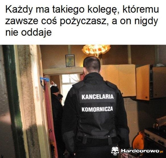 Kolega - 1