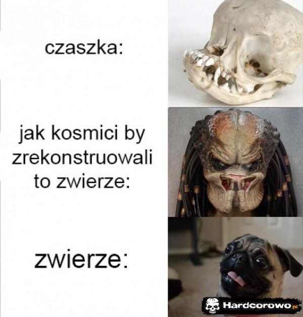  - 1