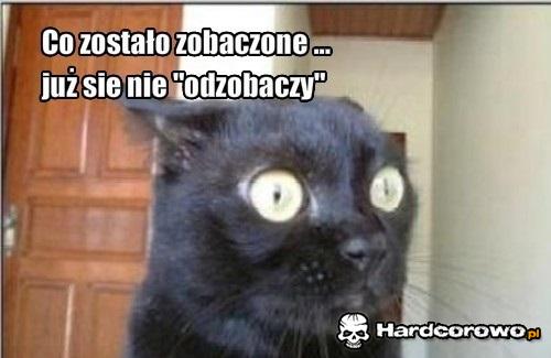 Co zostało zobaczone - 1