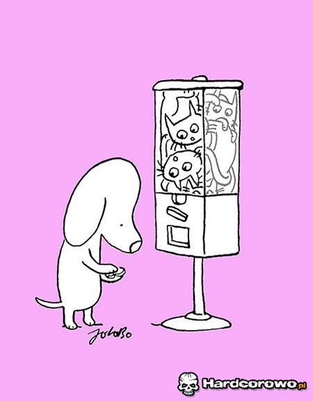 Automat z kotami - 1