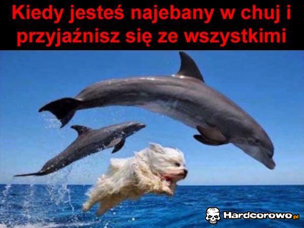 Najebany - 1