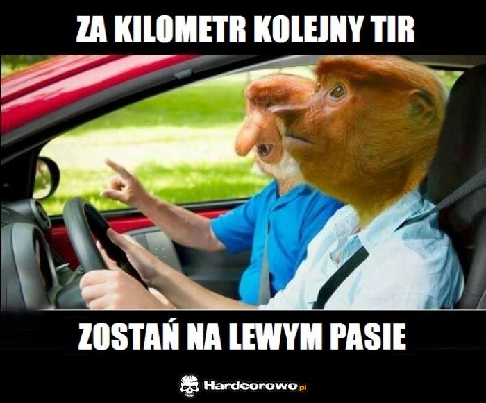 Lewy pas - 1