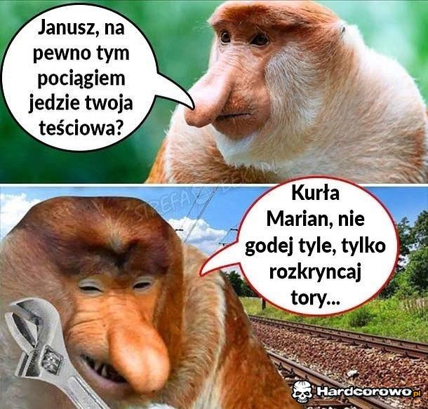 Sposób na teściową - 1