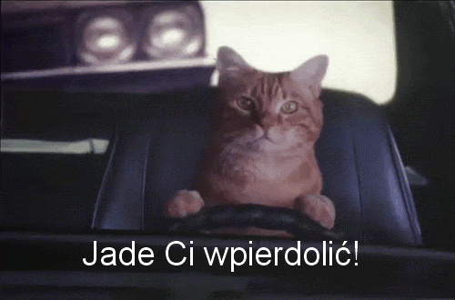 Jadę ci wpierdolić - 1