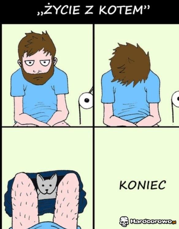 Życie z kotem - 1