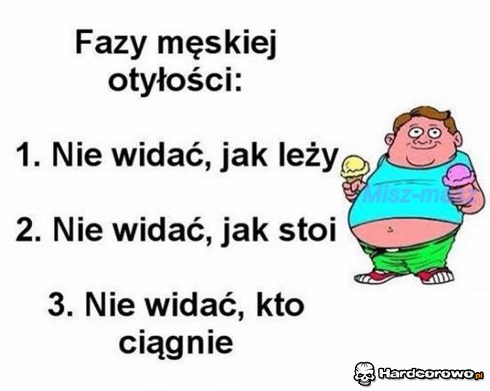 Fazy męskiej otyłości - 1