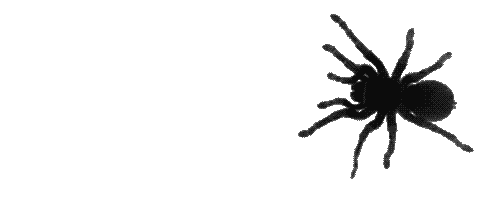 Siema - 1