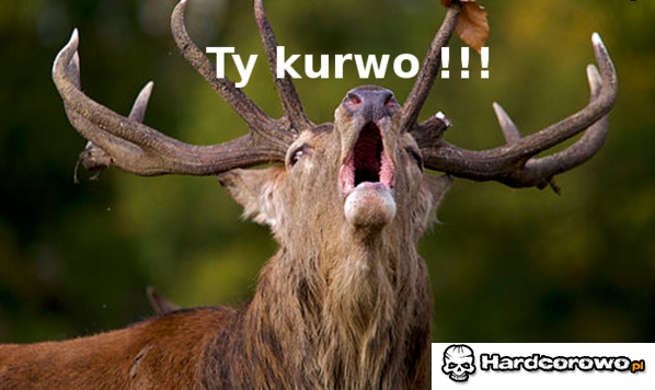 Ty kurwo - 1