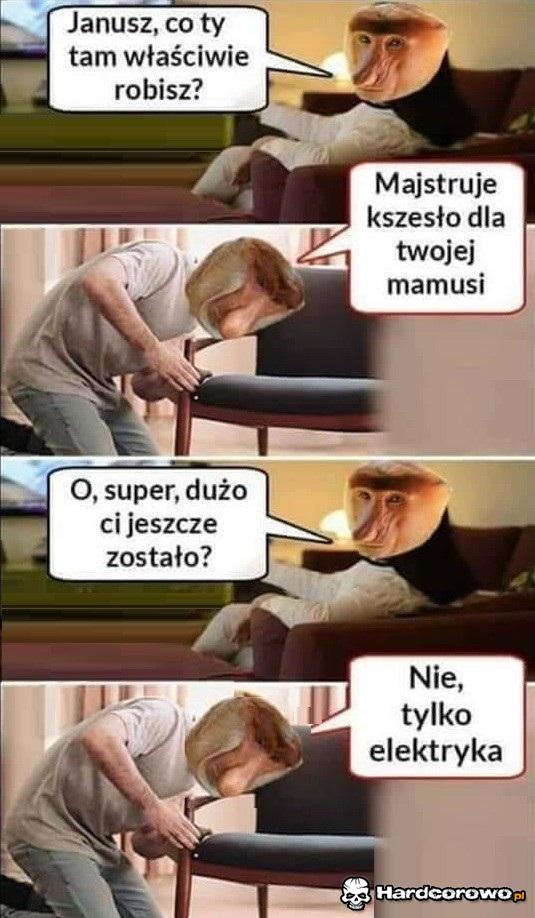 Janusz wpadł na pomysł - 1