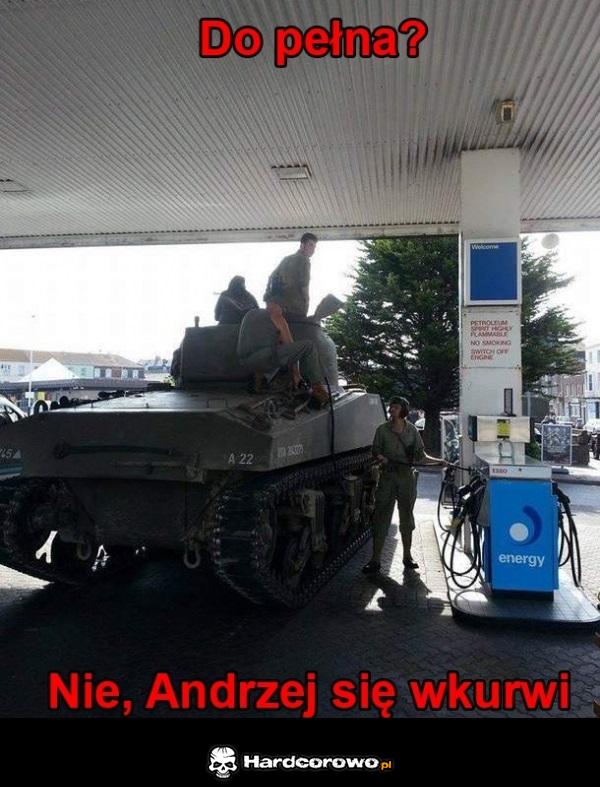 Andrzej - 1