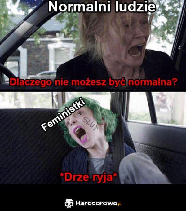 Normalni ludzie a Feministki - 1