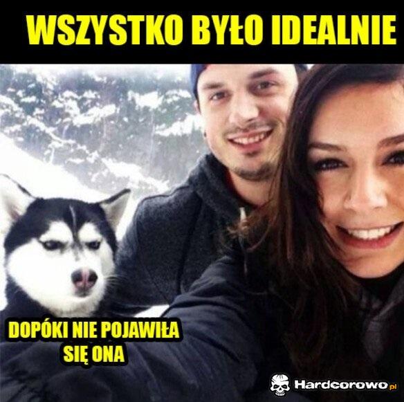 Laski wszystko psują - 1
