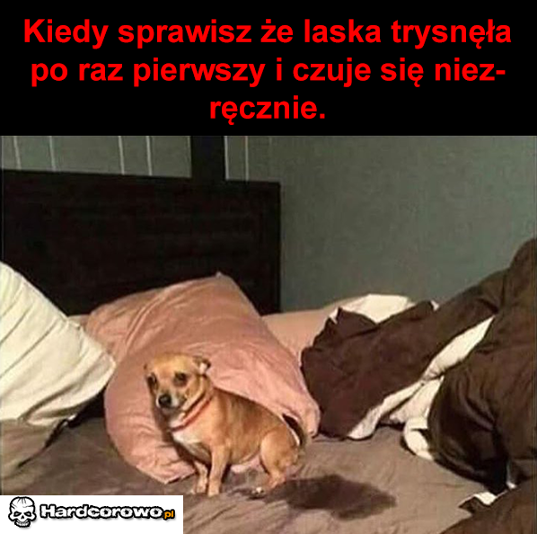 Pierwszy raz - 1