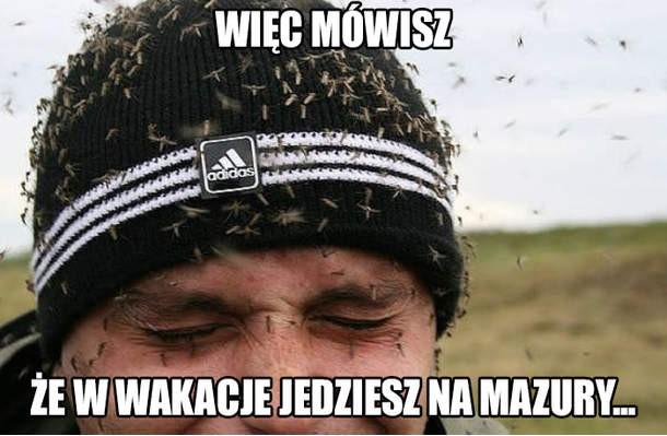 Wakacje  - 1