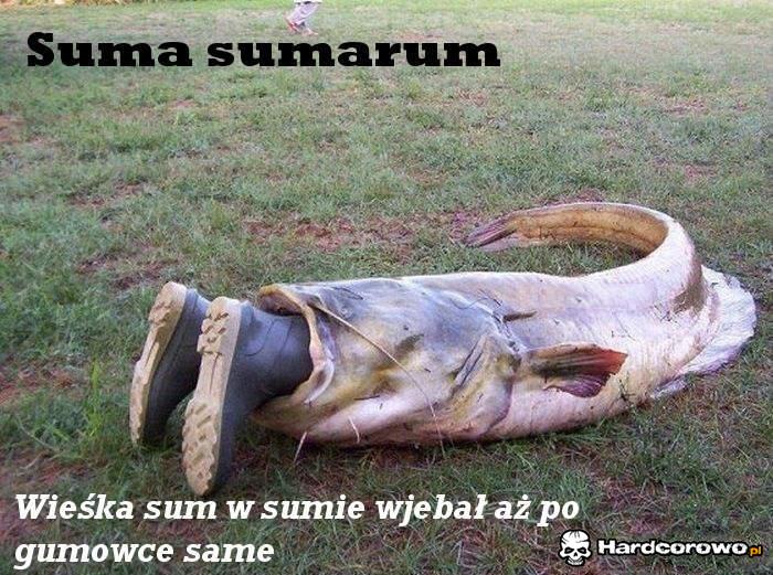 Suma sumarum - 1